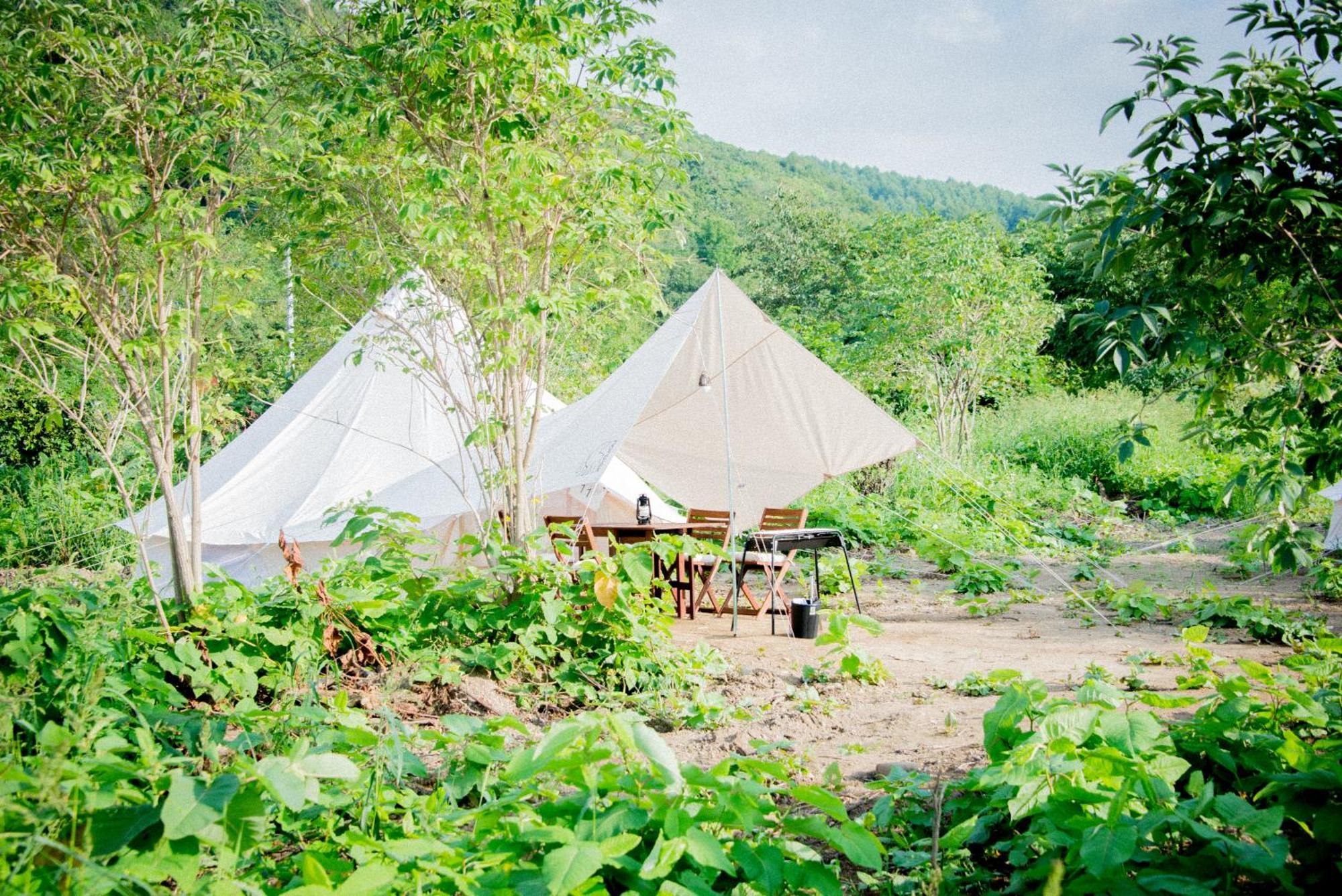 Yoichi Vineyard Glamping Hotel ภายนอก รูปภาพ