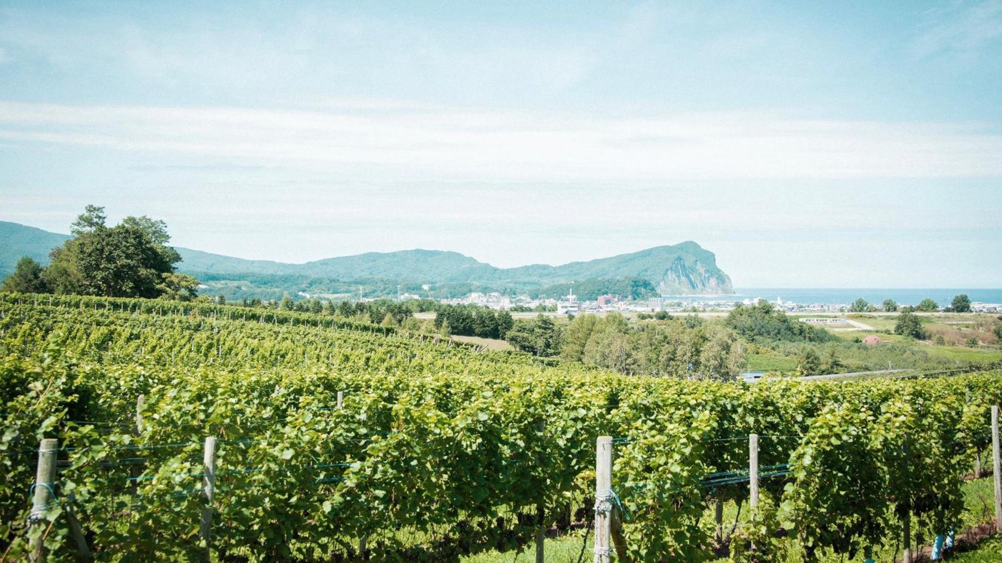 Yoichi Vineyard Glamping Hotel ภายนอก รูปภาพ
